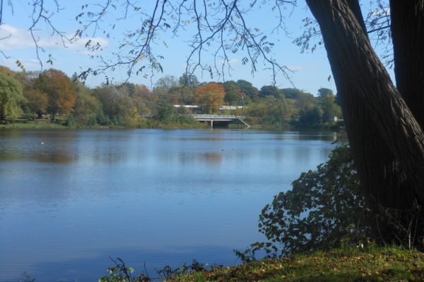 We are located on Silver lake, which offers a beautiful scenic view for your furry friends.
